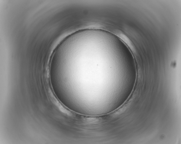 X0000093561436200710291009