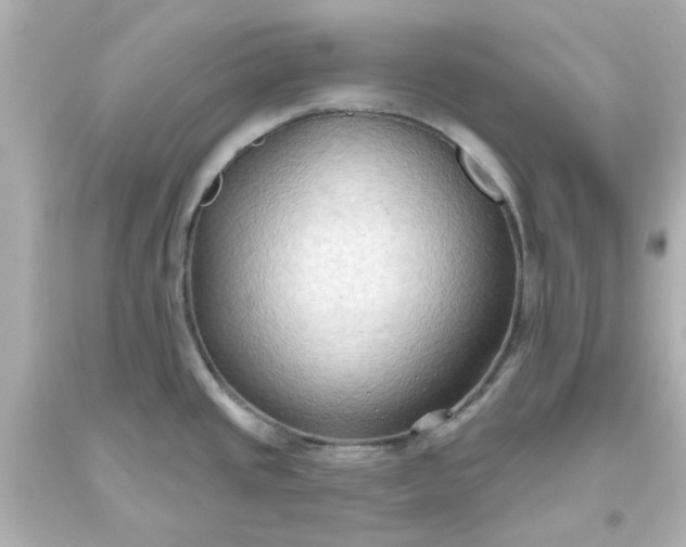 X0000093561437200710291009