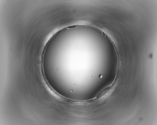 X0000093561438200710291009