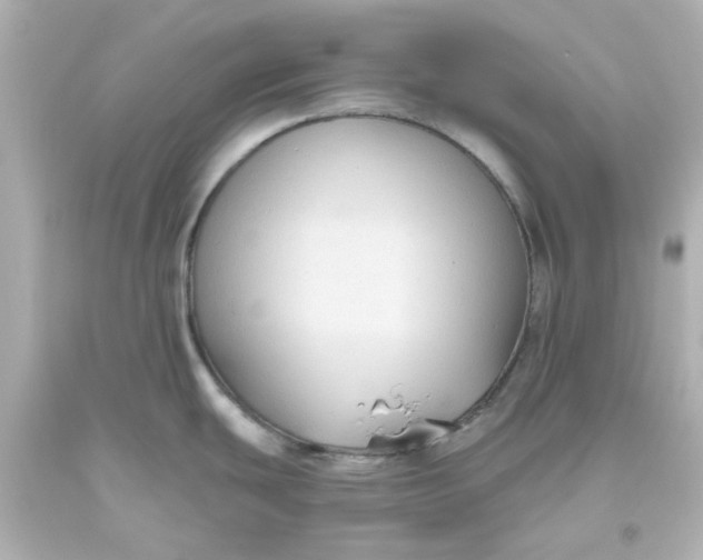 X0000093561439200710291009