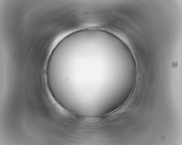 X0000093561440200710291009