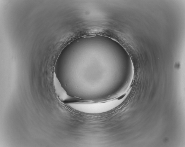 X0000093561441200710291009