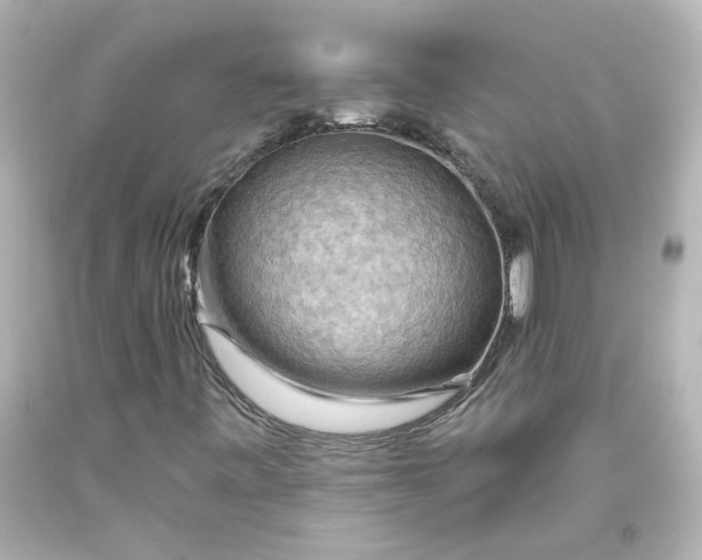 X0000093561443200710291009