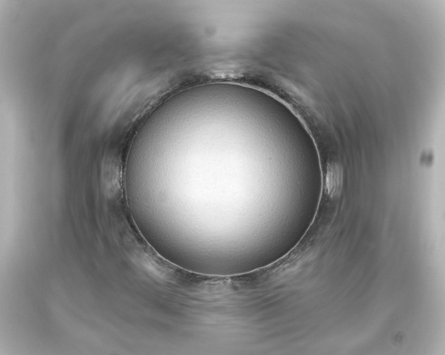 X0000093561444200710291009