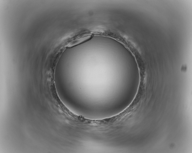 X0000093561445200710291009