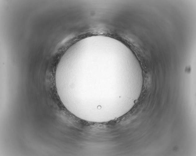 X0000093561446200710291009