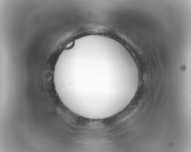 X0000093561447200710291009