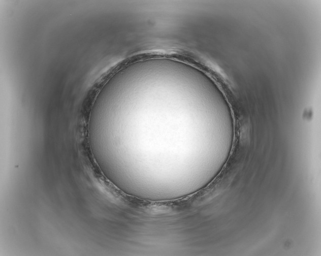 X0000093561448200710291009