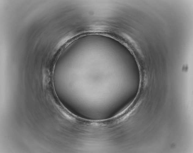 X0000093561449200710291009