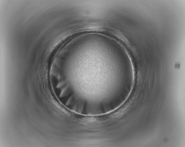 X0000093561450200710291009