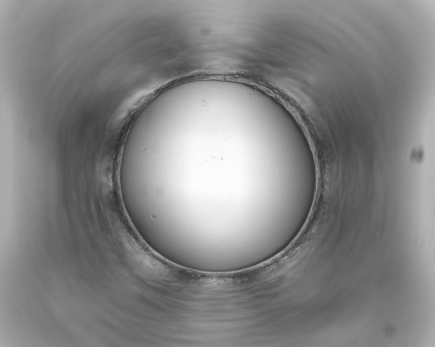 X0000093561451200710291009