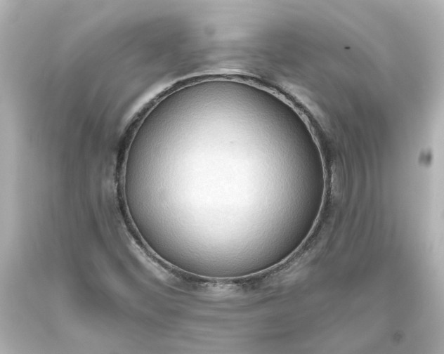 X0000093561452200710291009