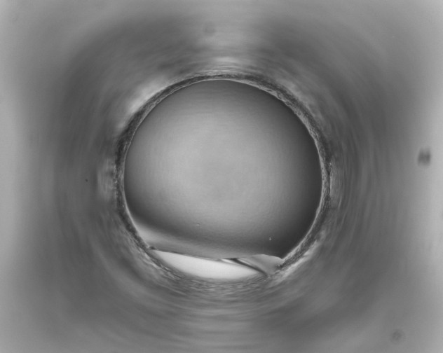 X0000093561453200710291009