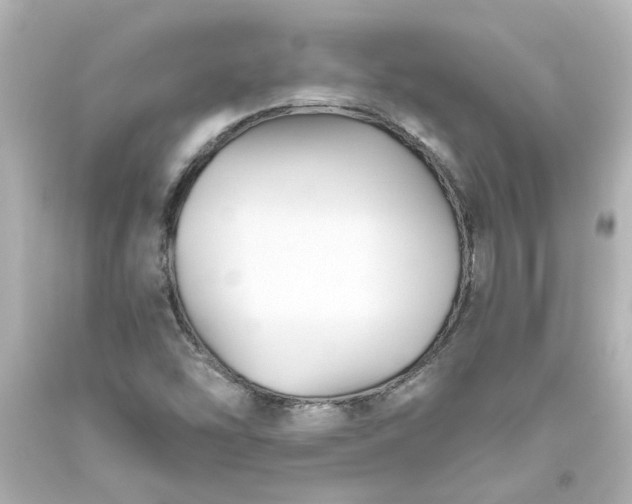 X0000093561454200710291009