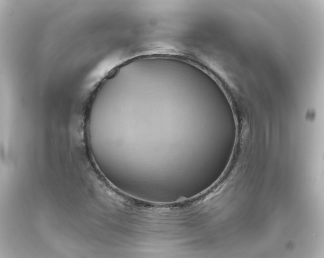 X0000093561455200710291009