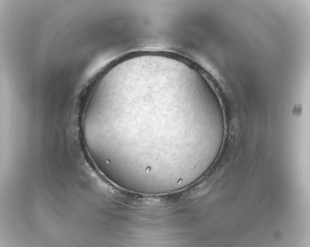 X0000093561456200710291009