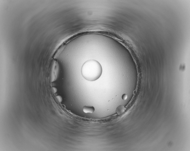 X0000093561457200710291009