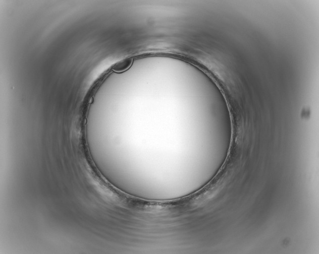 X0000093561458200710291009