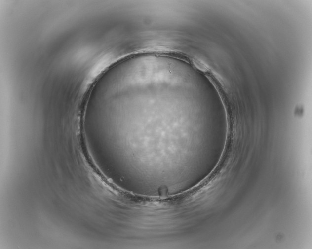 X0000093561459200710291009