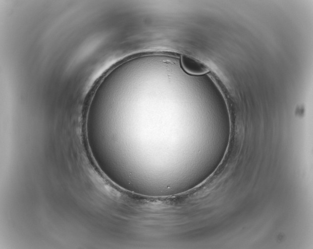 X0000093561460200710291009