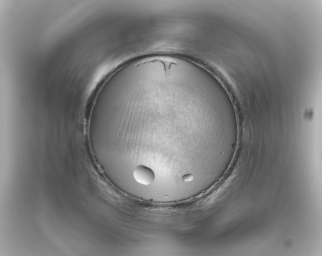 X0000093561461200710291009