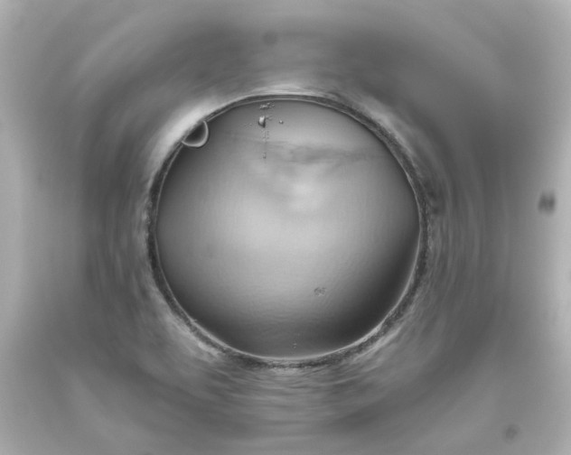 X0000093561463200710291009