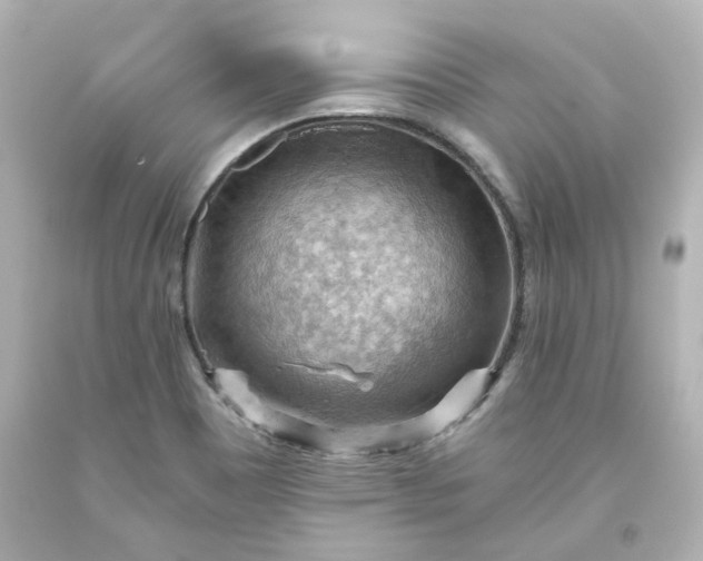 X0000093561465200710291009