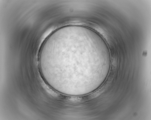 X0000093561466200710291008