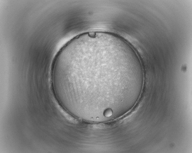 X0000093561469200710291008