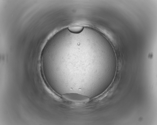 X0000093561471200710291008