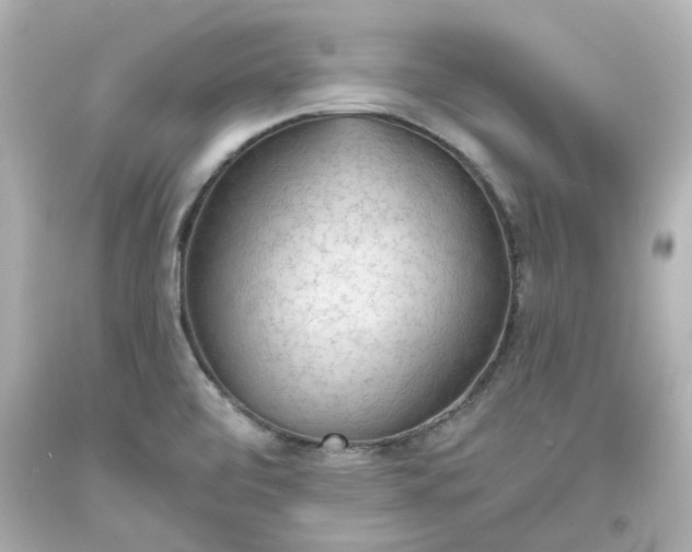 X0000093561472200710291008