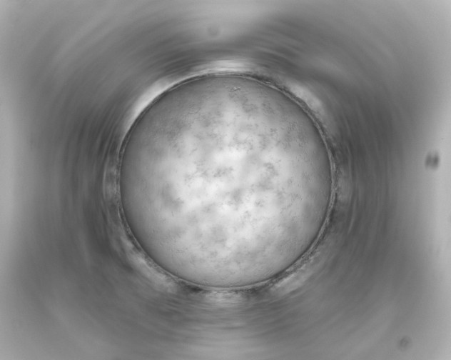 X0000093561473200710291008