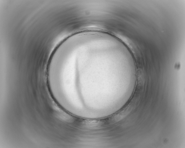 X0000093561474200710291008