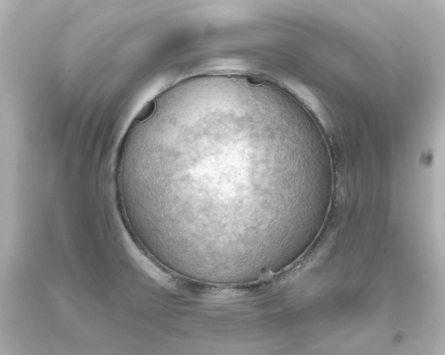 X0000093561475200710291008