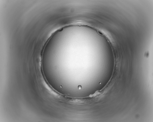 X0000093561476200710291008