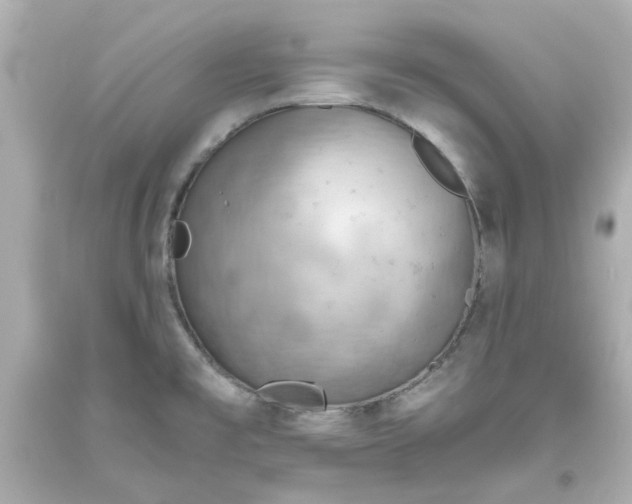 X0000093561477200710291008