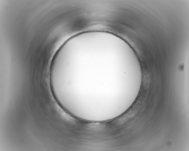 X0000093561478200710291008