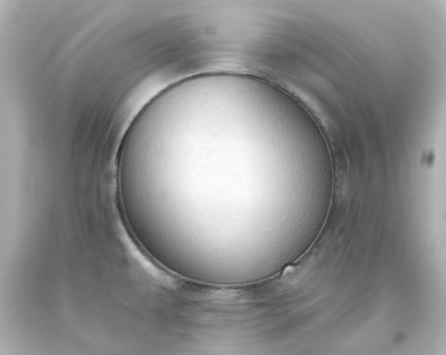 X0000093561479200710291008