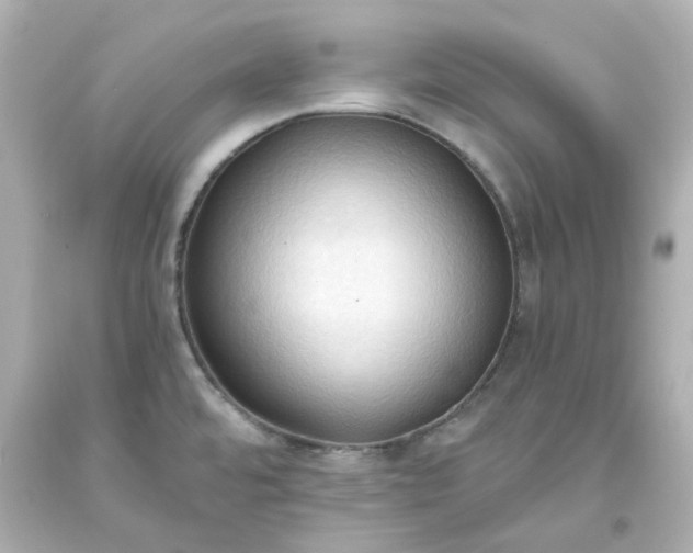 X0000093561480200710291008