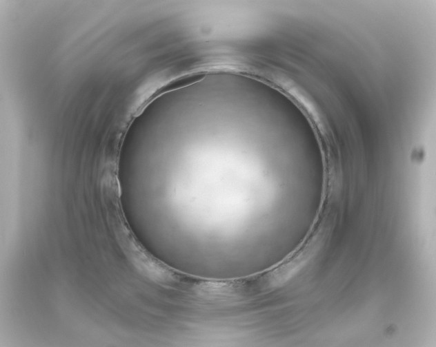 X0000093561481200710291008