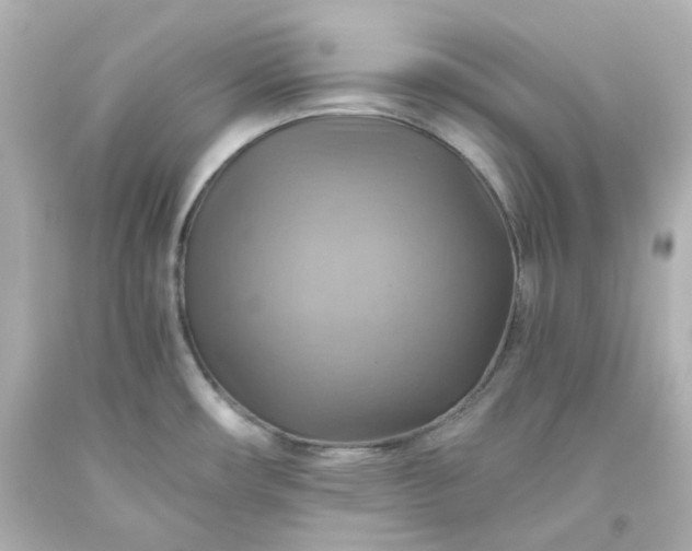 X0000093561482200710291008