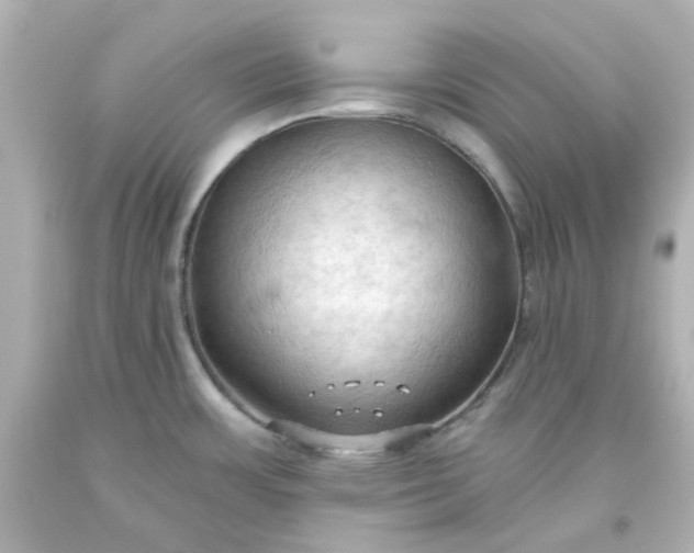 X0000093561483200710291008