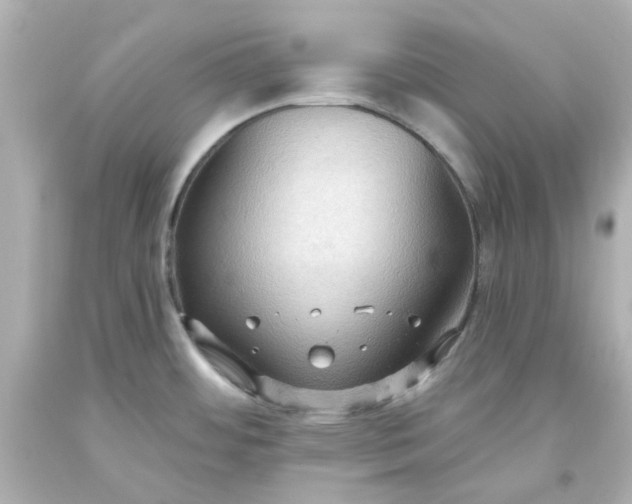 X0000093561484200710291008