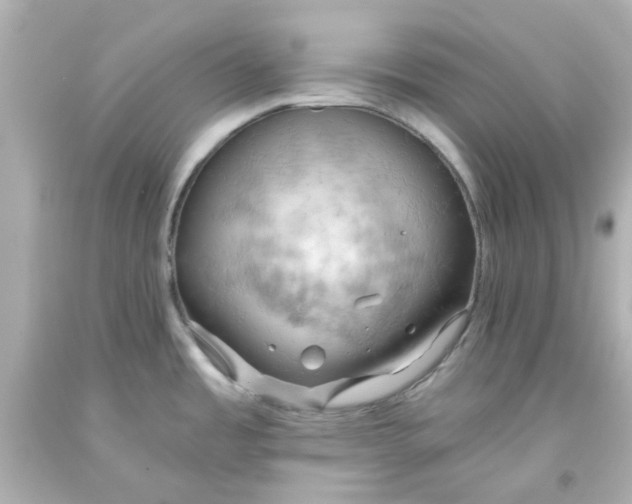 X0000093561485200710291008