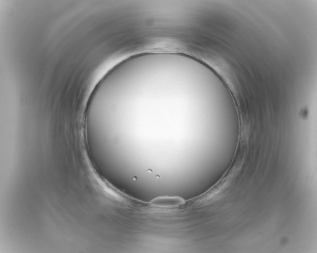 X0000093561486200710291008