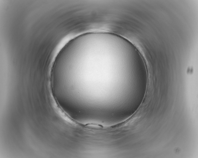 X0000093561488200710291008