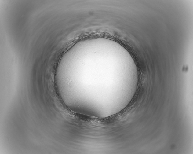 X0000093561489200710291008