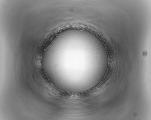 X0000093561490200710291008