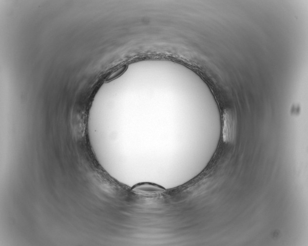 X0000093561491200710291008