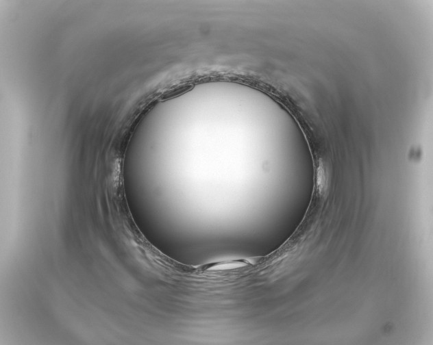 X0000093561492200710291008